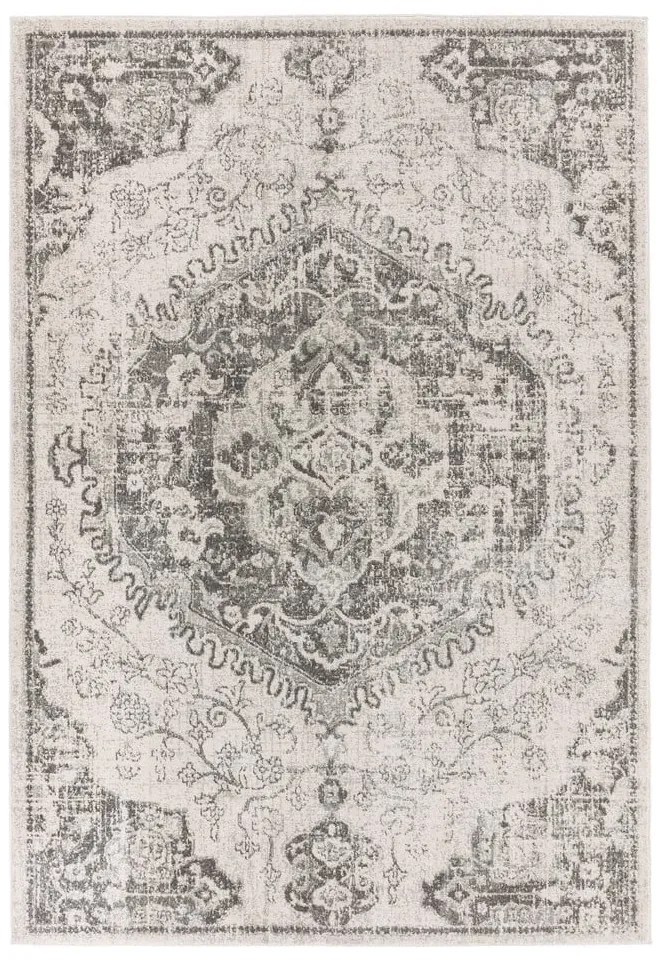 Covor gri/crem 200x290 cm Nova – Asiatic Carpets