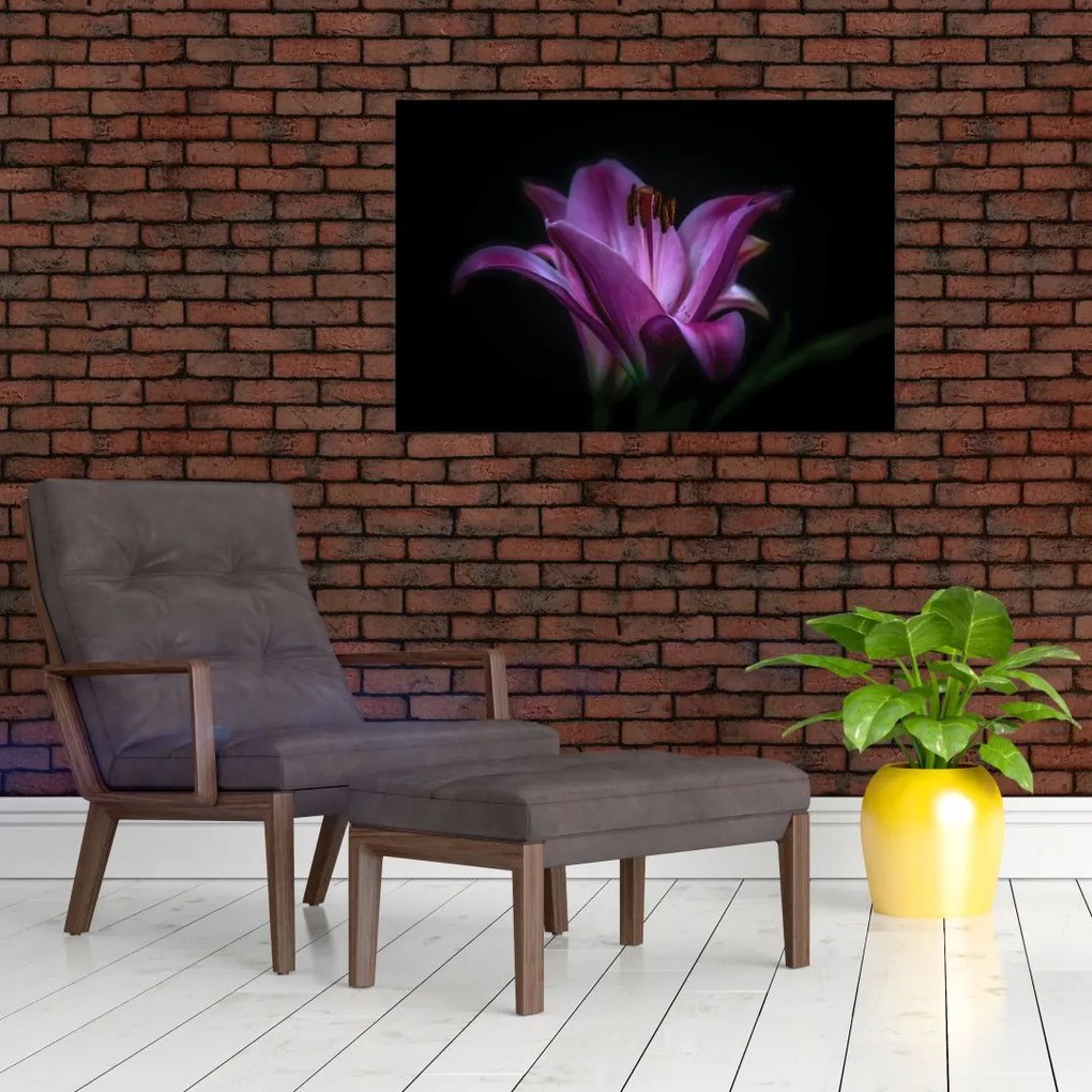Tablou crinul (90x60 cm)