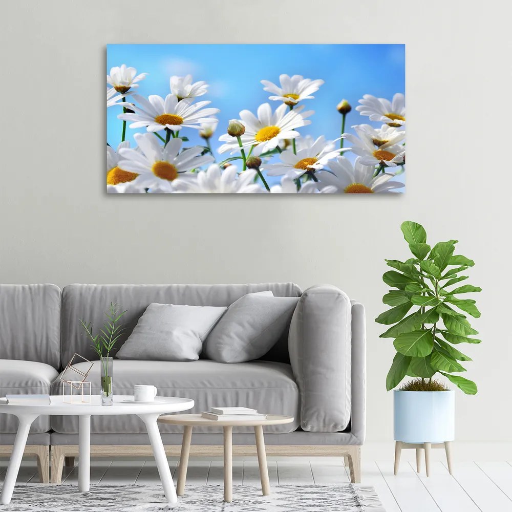 Tablou pe pânză canvas Margarete