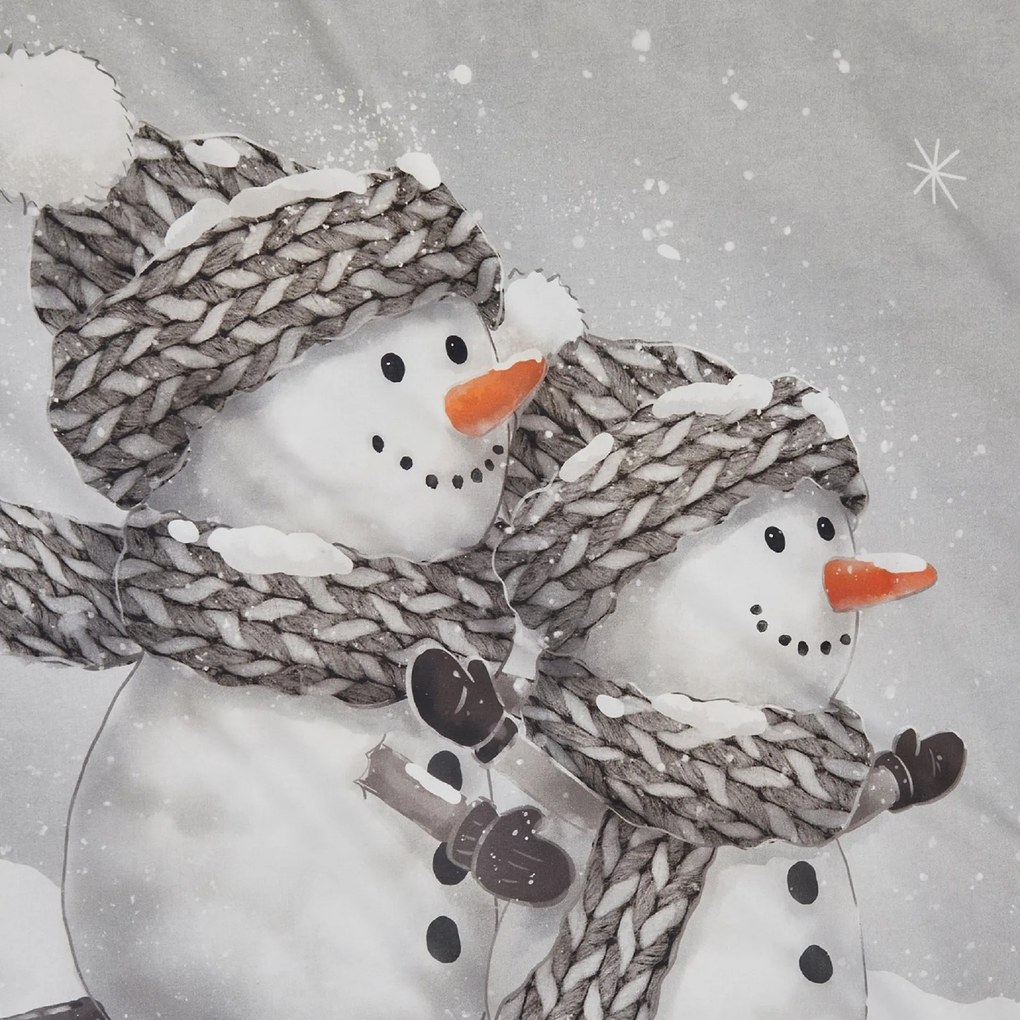 Lenjerie de pat 3D din bumbac Renforce FROSTY gri, 100% bumbac Dimensiune lenjerie de pat: 80 x 80 cm | 135 x 200 cm