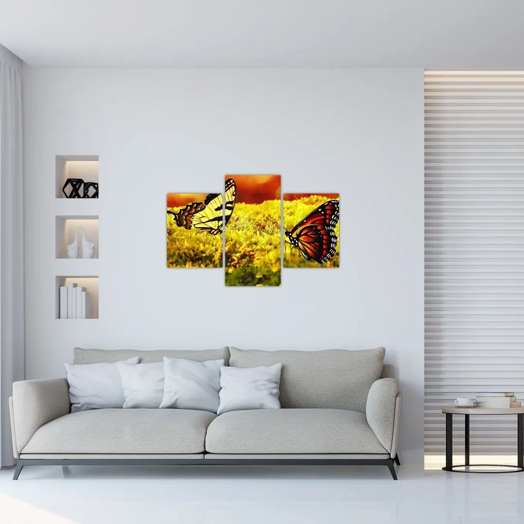 Tablou cu fluturi (90x60 cm)