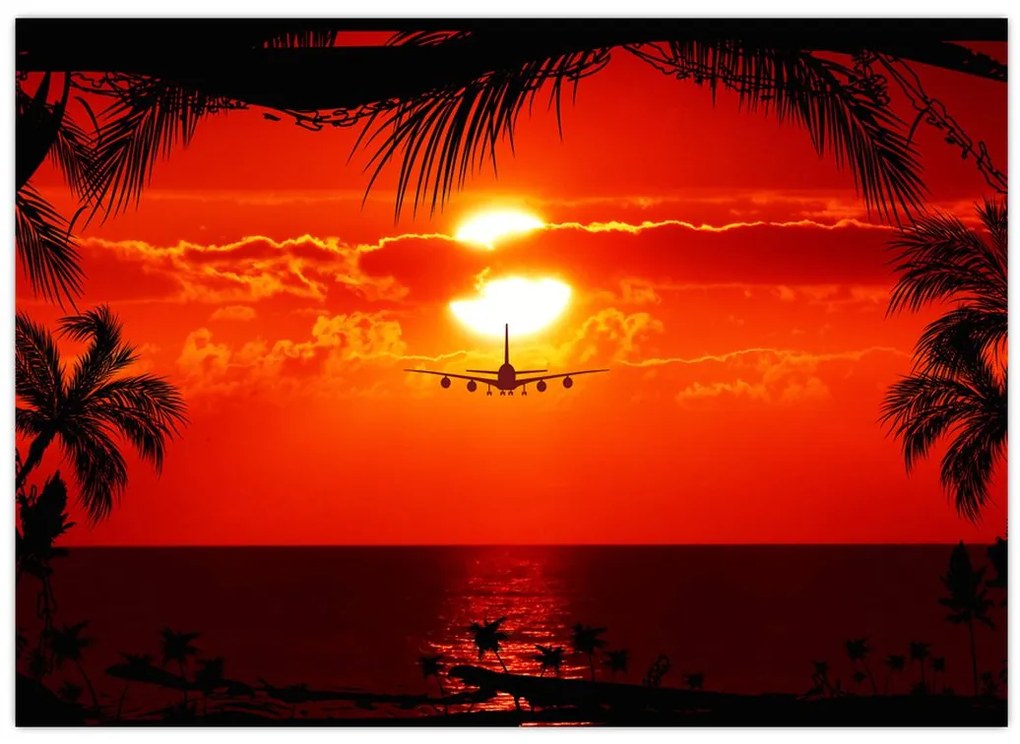 Tablou - apus de soare cu avion (70x50 cm)