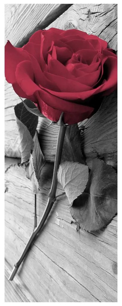 Fotojaluzele R013347R57150 (57x150 cm)