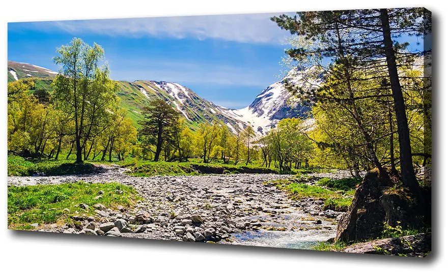 Tablou pe pânză River în munți