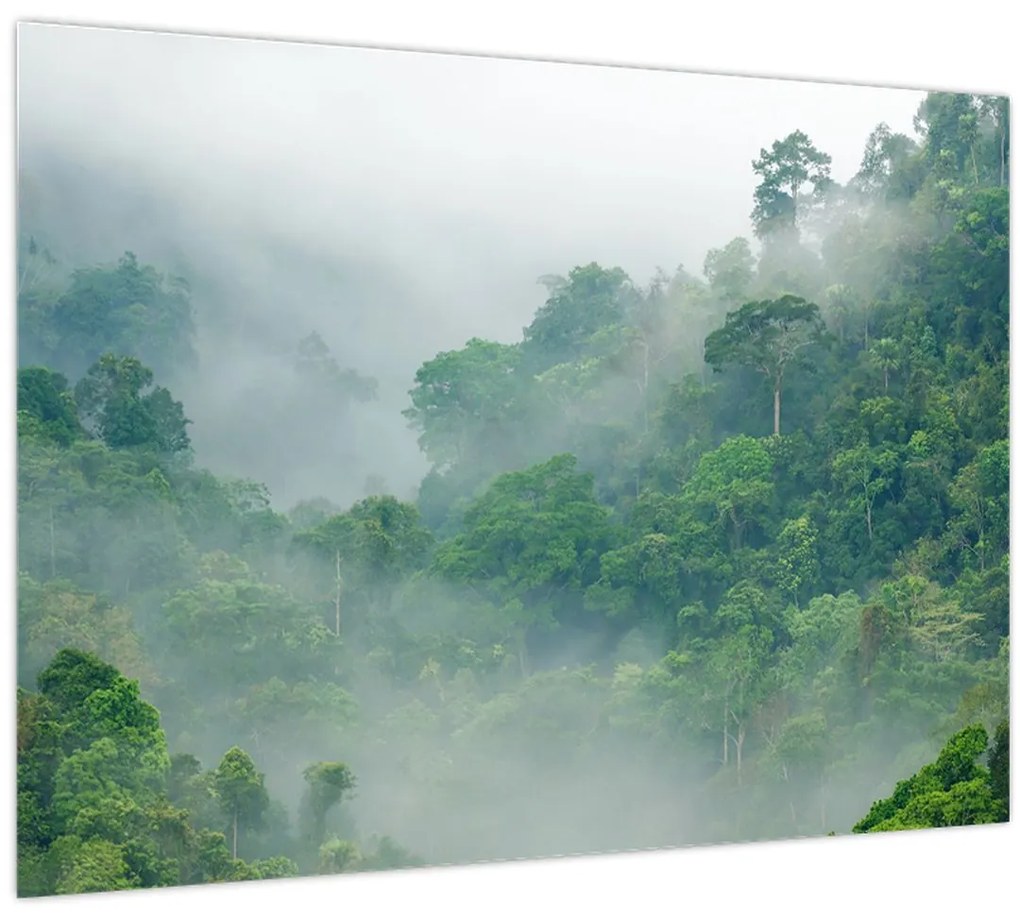 Tablou - Ceața de dimineață (70x50 cm)