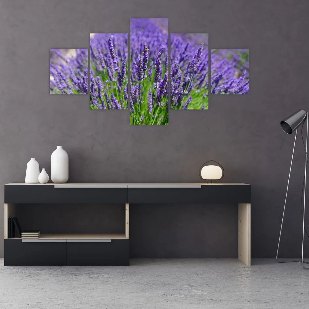 Tablou - lavanda (125x70 cm), în 40 de alte dimensiuni noi