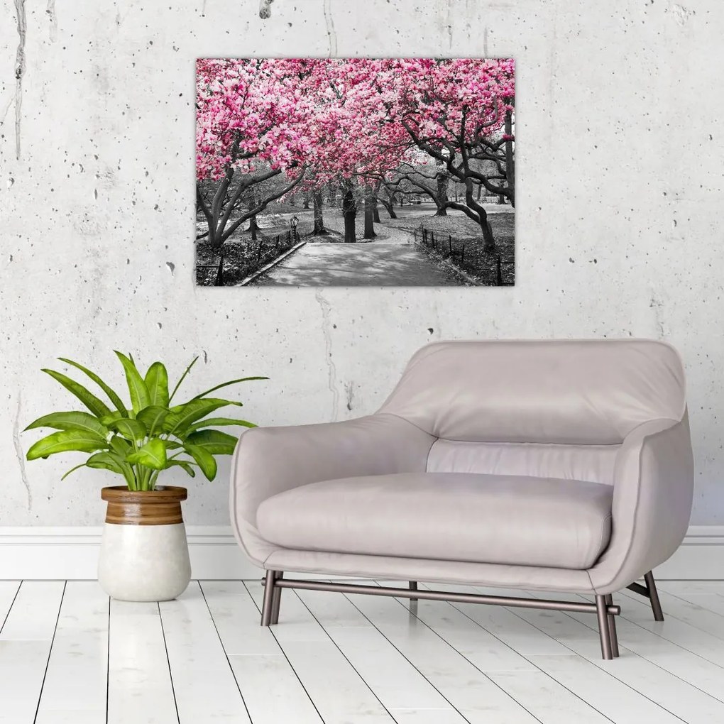 Tablou pe sticlă copacului magnolie (70x50 cm)