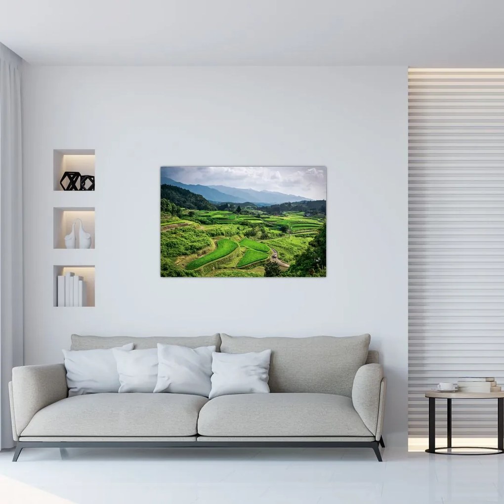 Tablou cu câmp de orez (90x60 cm)