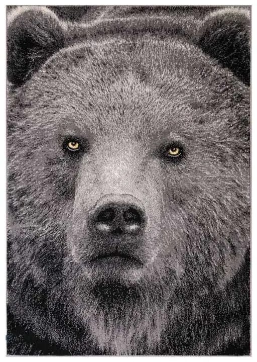 Covor  Kolibri Urs 11365 Selectează mărime: 200 X 300