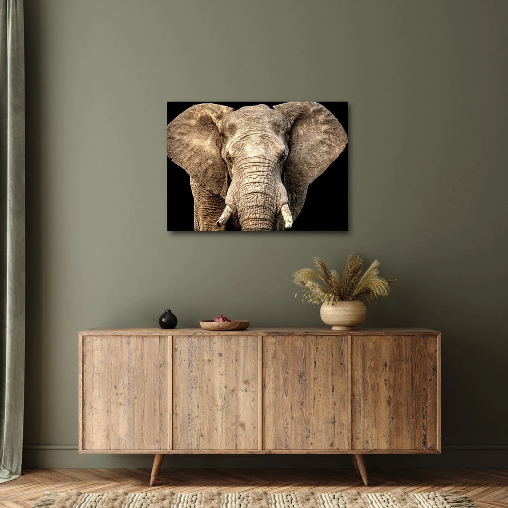 Tablou - Elefant african (70x50 cm)