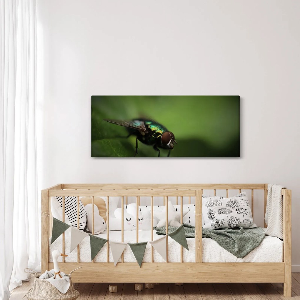 Tablou - Musca (120x50 cm)