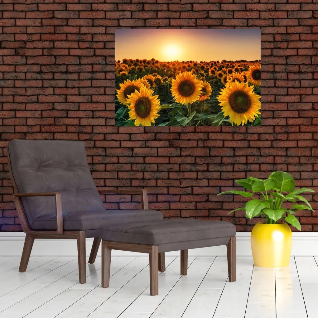 Tablou - Floarea soarelui (90x60 cm)