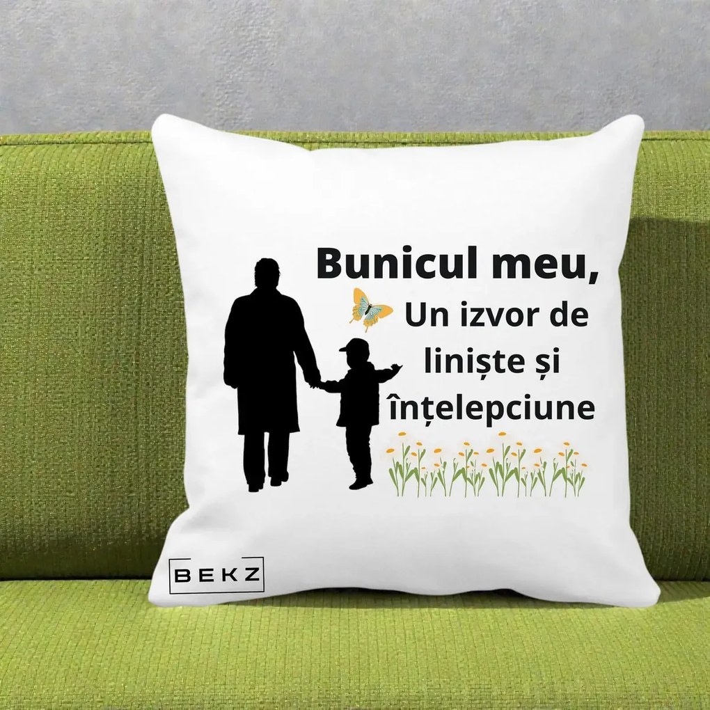 Cadou pentru Bunic - Perna Personalizata Bunicul Meu Izvor de Liniste cu Fluture si Baietel, 40x40 cm, Alba Mata, Husa Detasabila, Perna Inclusa, BEKZ®