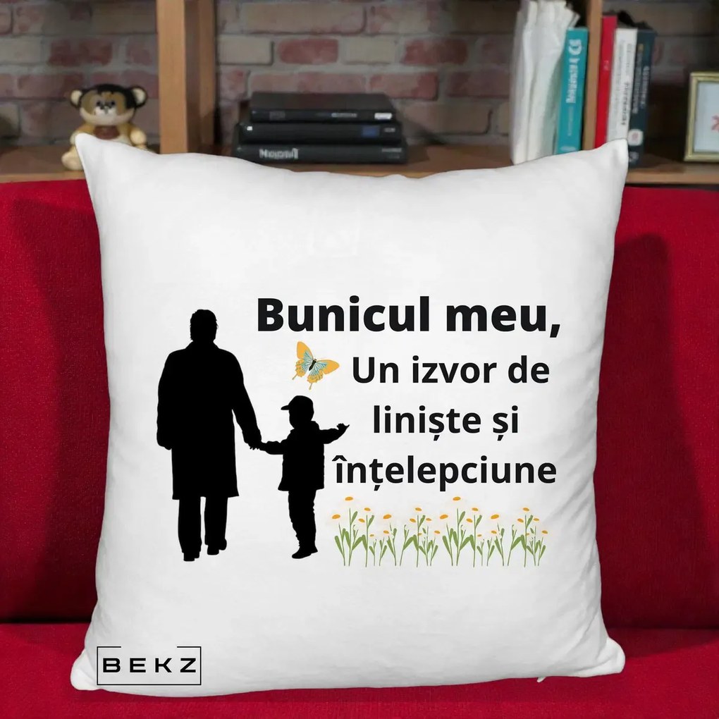Cadou pentru Bunic - Perna Personalizata Bunicul Meu Izvor de Liniste cu Fluture si Baietel, 40x40 cm, Alb Pufos, Husa Detasabila, Perna Inclusa, BEKZ®