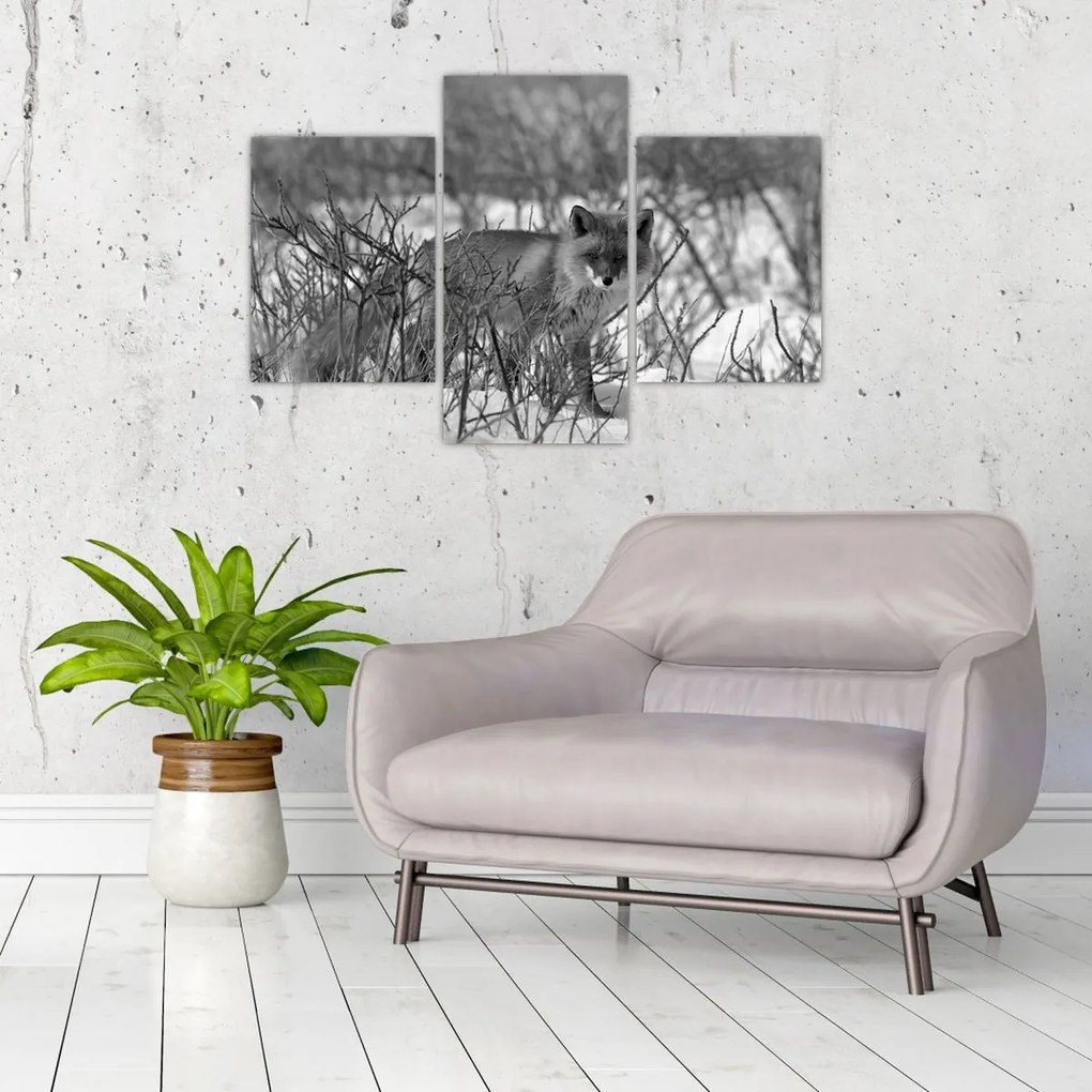 Tablou - Vulpe în timpul iernii (90x60 cm)