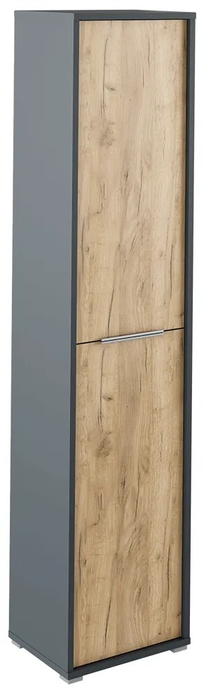 Dulap inalt cu polite, grafit   stejar artizanal, RIOMA NEW TYPE 06