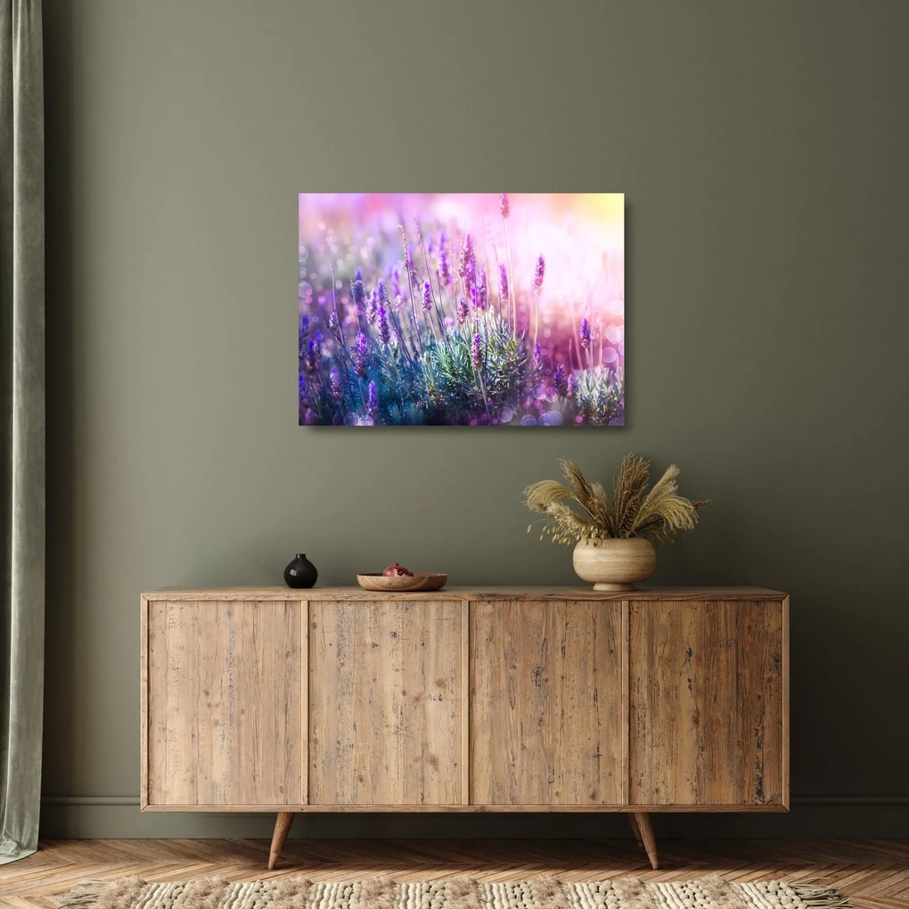 Tablou pe sticlă - Lavandă în strălucirea soarelui (70x50 cm)