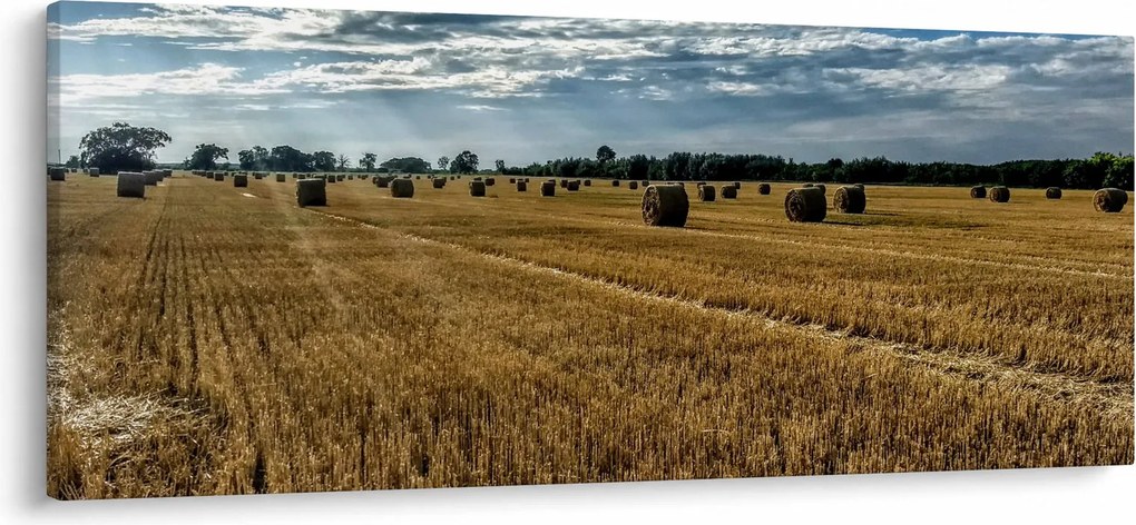 Tablou cu câmp recoltat (120x50 cm)
