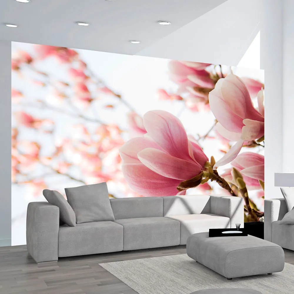 Fototapet Bimago - Pink magnolia + Adeziv gratuit 200x154 cm