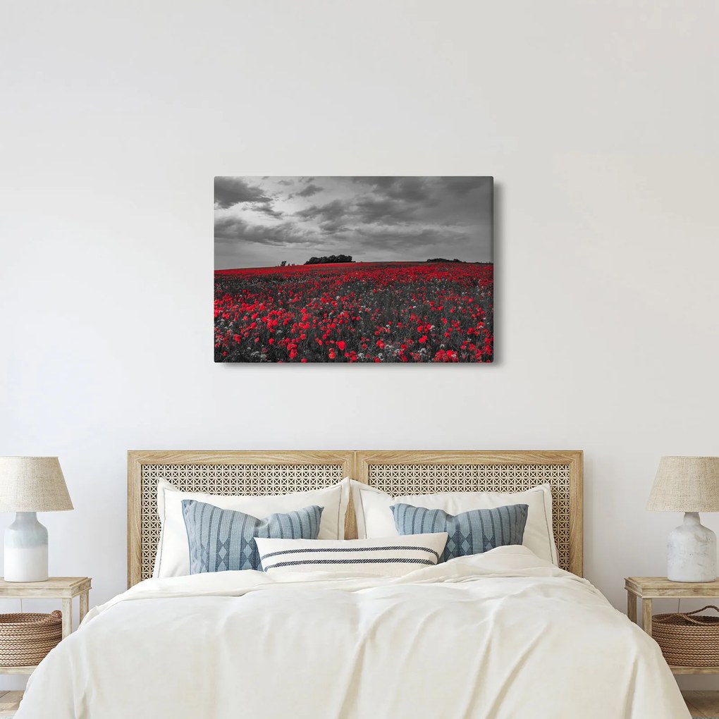 Tablou cu maci (90x60 cm)