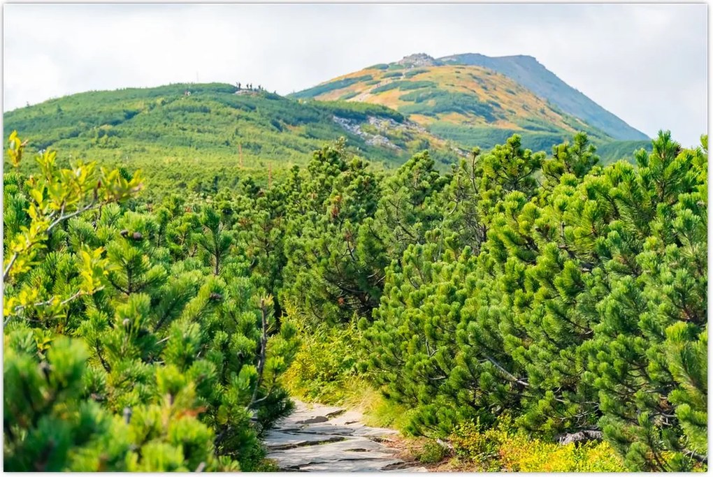 Tablou - Babi Hora, Polonia (90x60 cm)