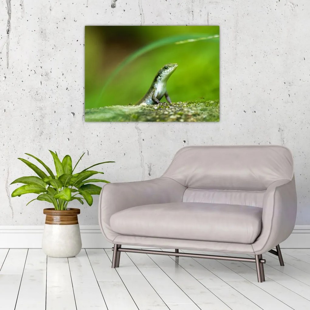 Tablou cu șopârlă (70x50 cm)