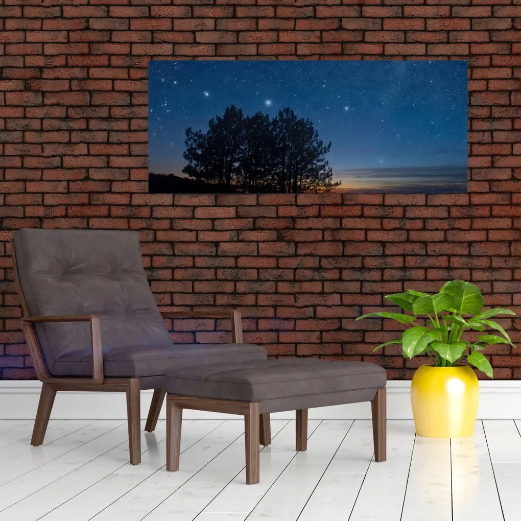 Tablou cu copaci noapte (120x50 cm)
