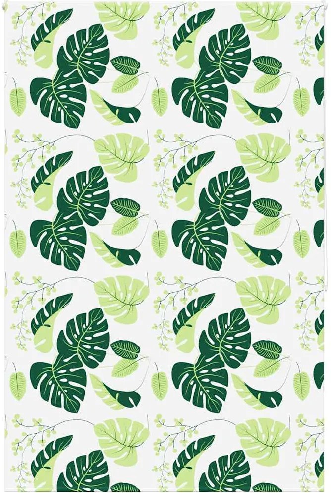 vidaXL Jaluzea cu rolă de duș 160x240 cm lățime material 156 cm