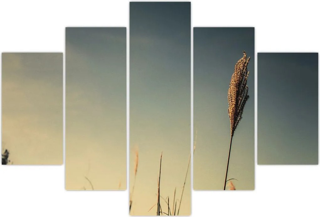 Tablou - Iarba (150x105 cm)