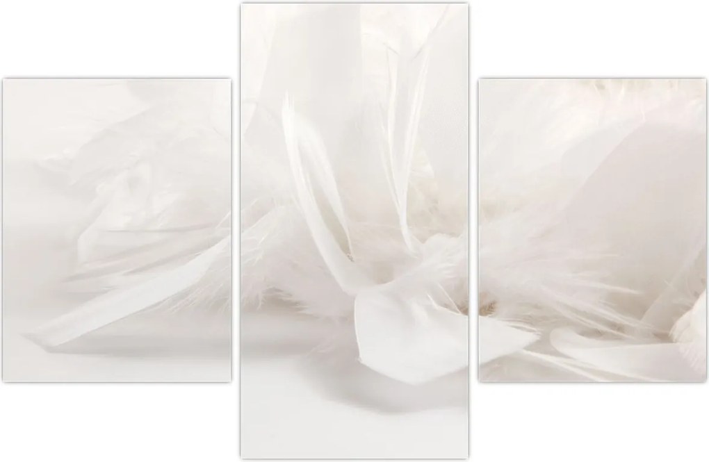 Tablou - Pană (90x60 cm)