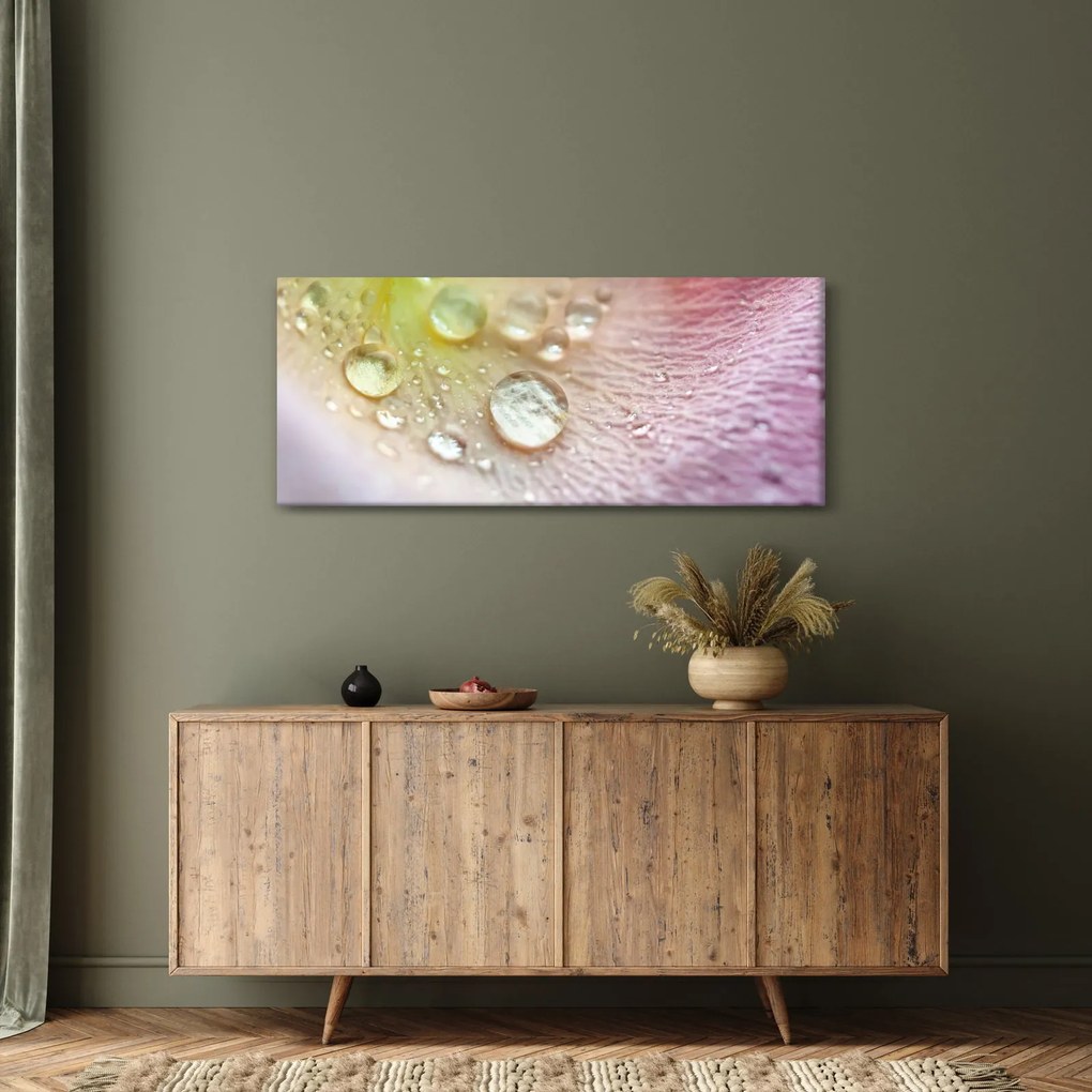 Tablou - Picături de rouă (120x50 cm)