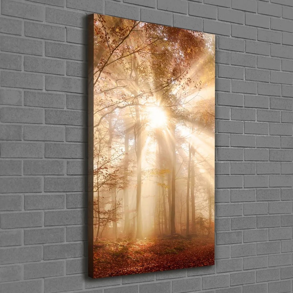 Tablou pe pânză canvas Pădure în toamna