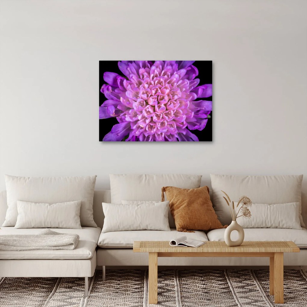 Tablou detailat cu floare (70x50 cm)