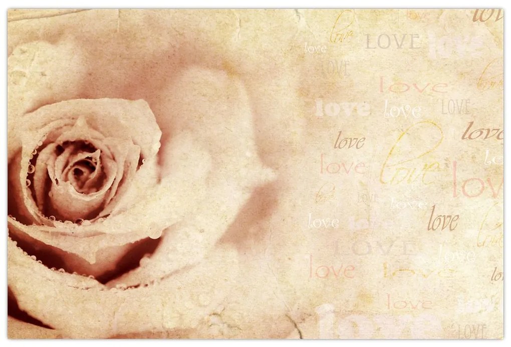 Tablou - floare de trandafir pentru îndrăgostiți (90x60 cm)