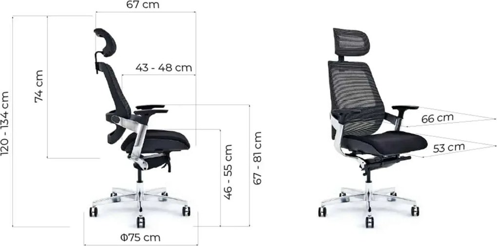 Scaun lemn masiv de birou ErgoElite Design Modern Negru