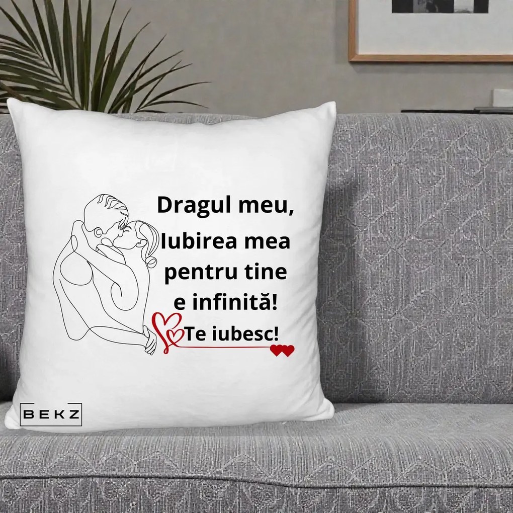Cadou pentru Iubit - Perna Personalizata Dragul Meu Iubirea Mea pentru Tine e Infinita Te Iubesc, 40x40 cm, Alb Pufos, Husa Detasabila, Perna Inclusa, BEKZ®