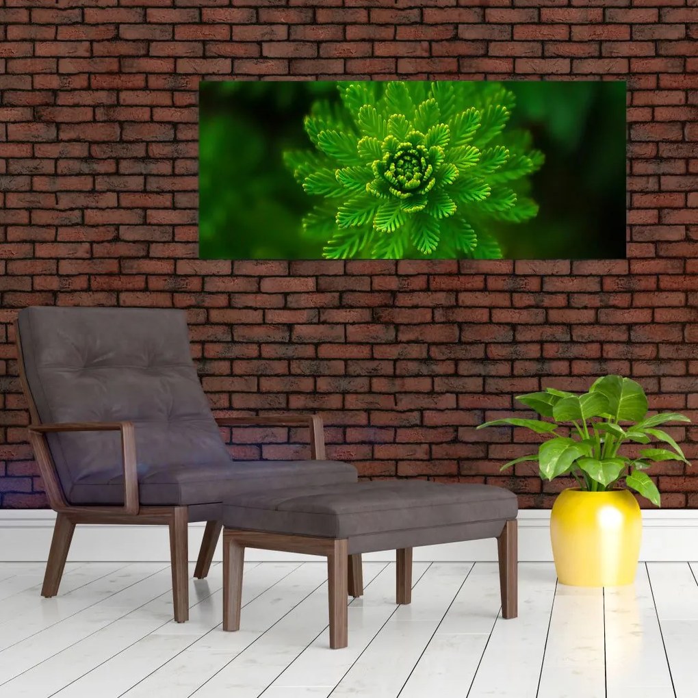 Tablou cu coniferi (120x50 cm)