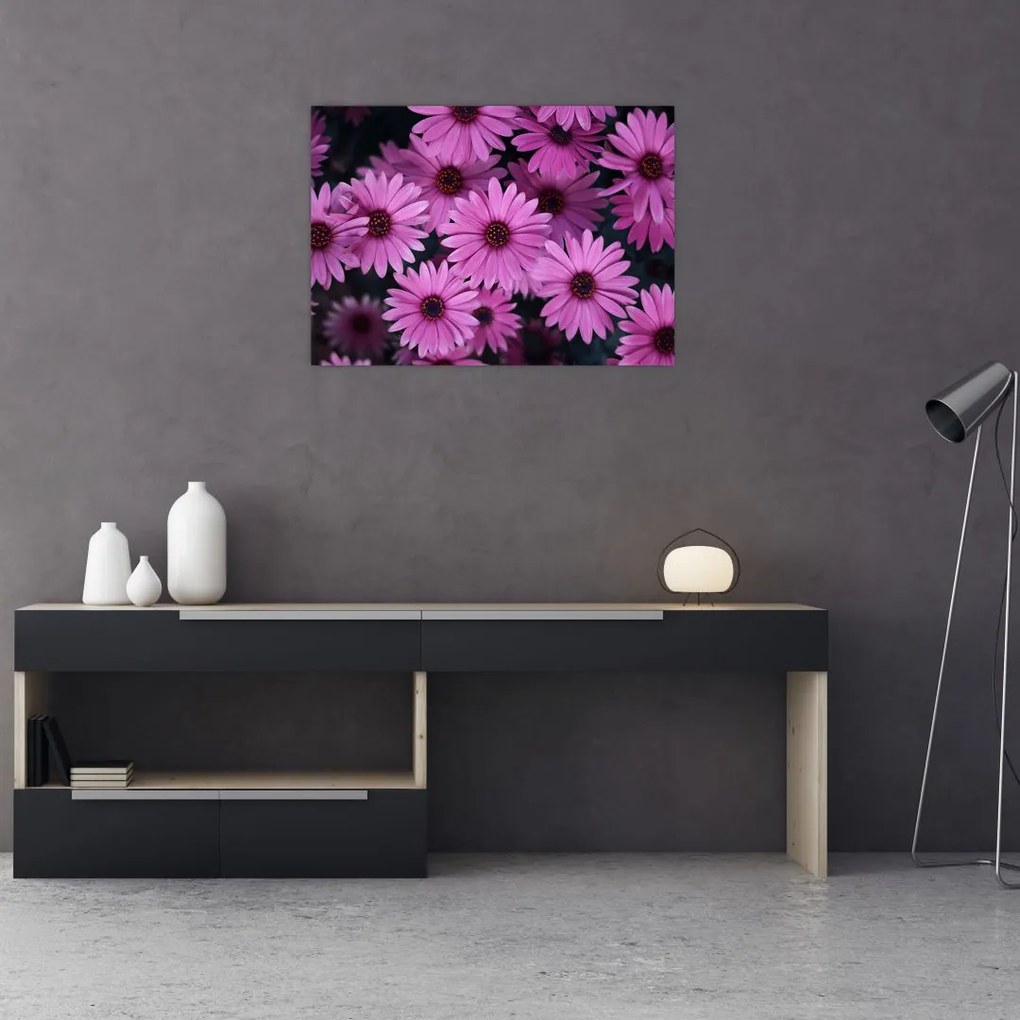 Tablou cu florile roz (70x50 cm)