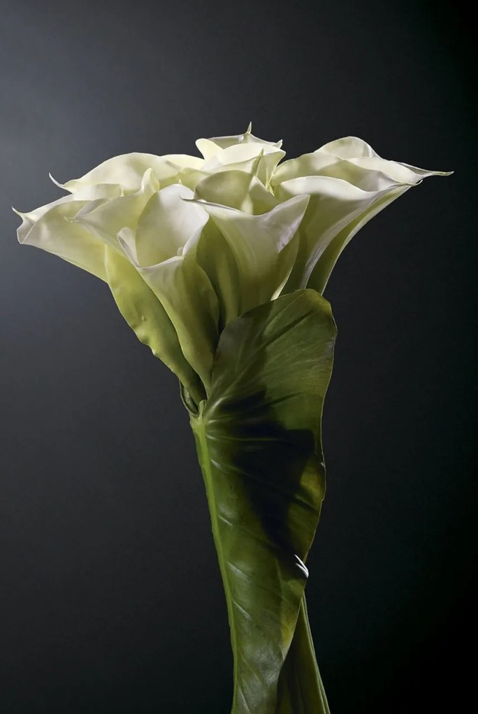 Aranjament floral mediu design LUX SMALL BUNCH OF CALLAS