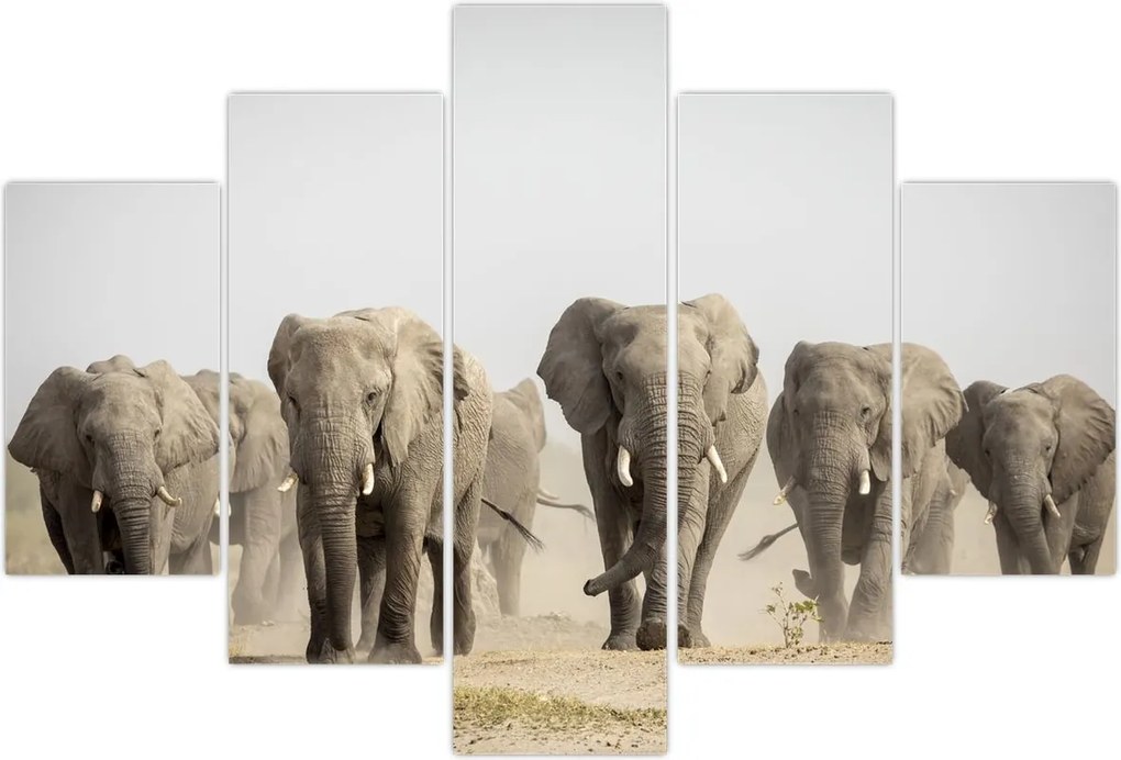 Tablou - Turmă de elefanți (150x105 cm)