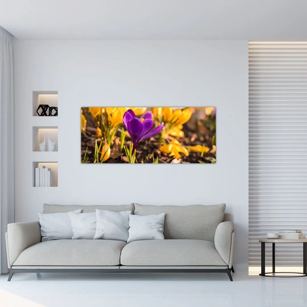 Tablou cu floare violetă (120x50 cm)