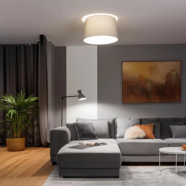 Brilagi - Plafonieră LED aplicată CERIA, 1x E27, 40 W, 230 V, Ø45 cm, gri