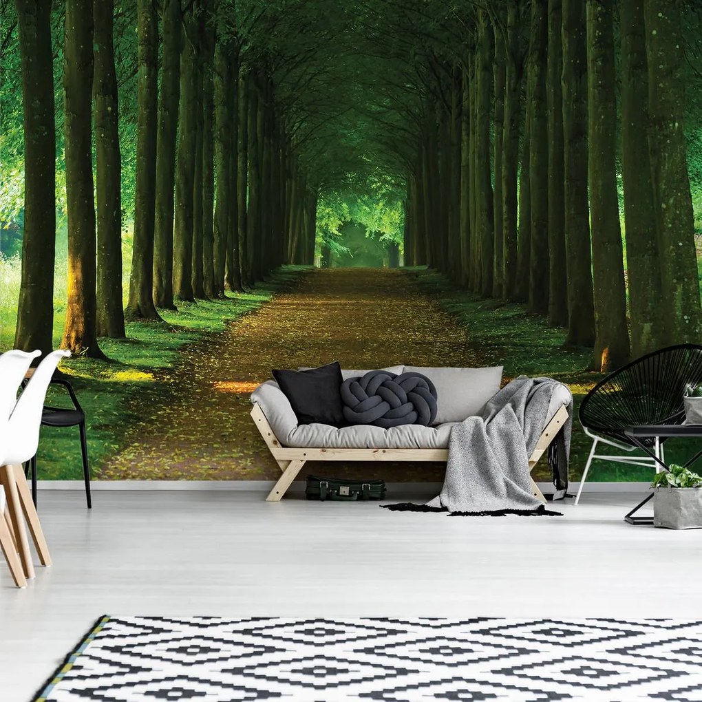 Fototapet - Alee (152,5x104 cm)