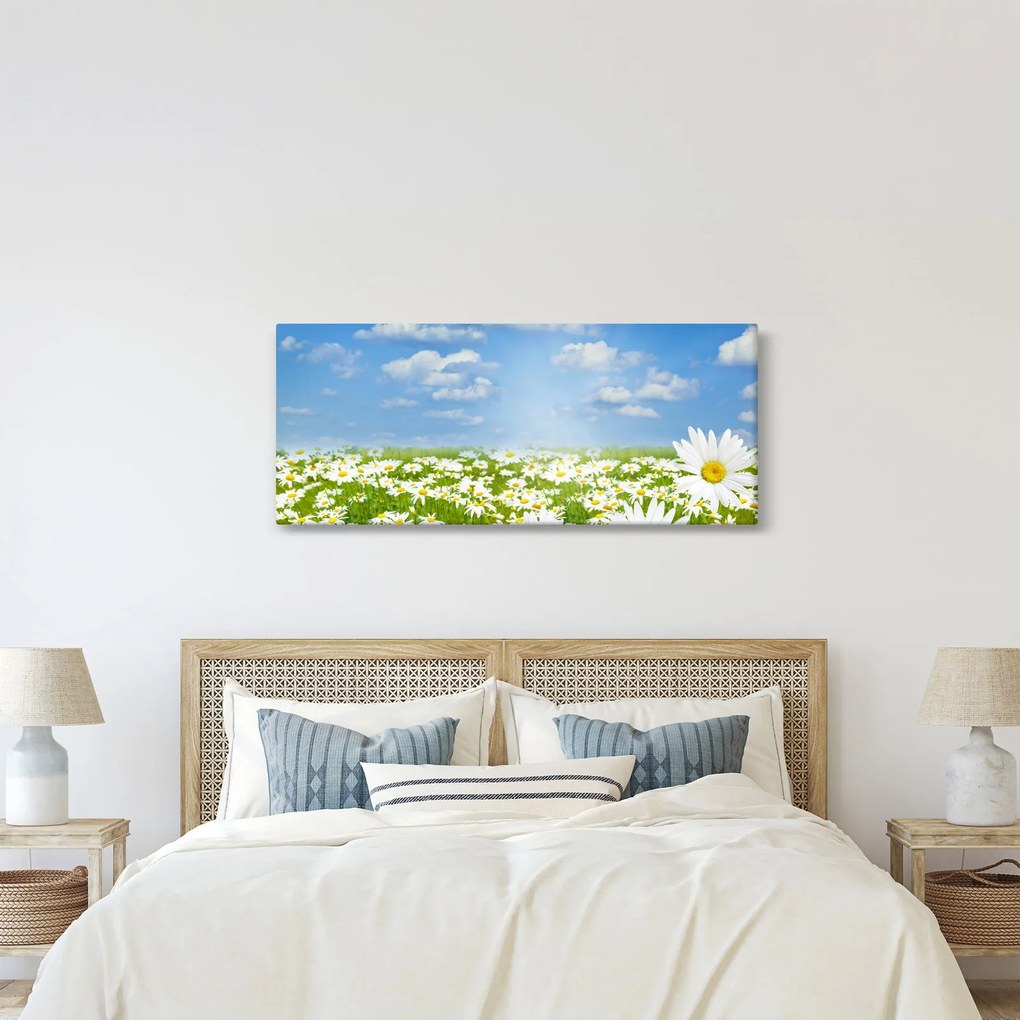 Tablou cu luncă înflorită cu margarete (120x50 cm)