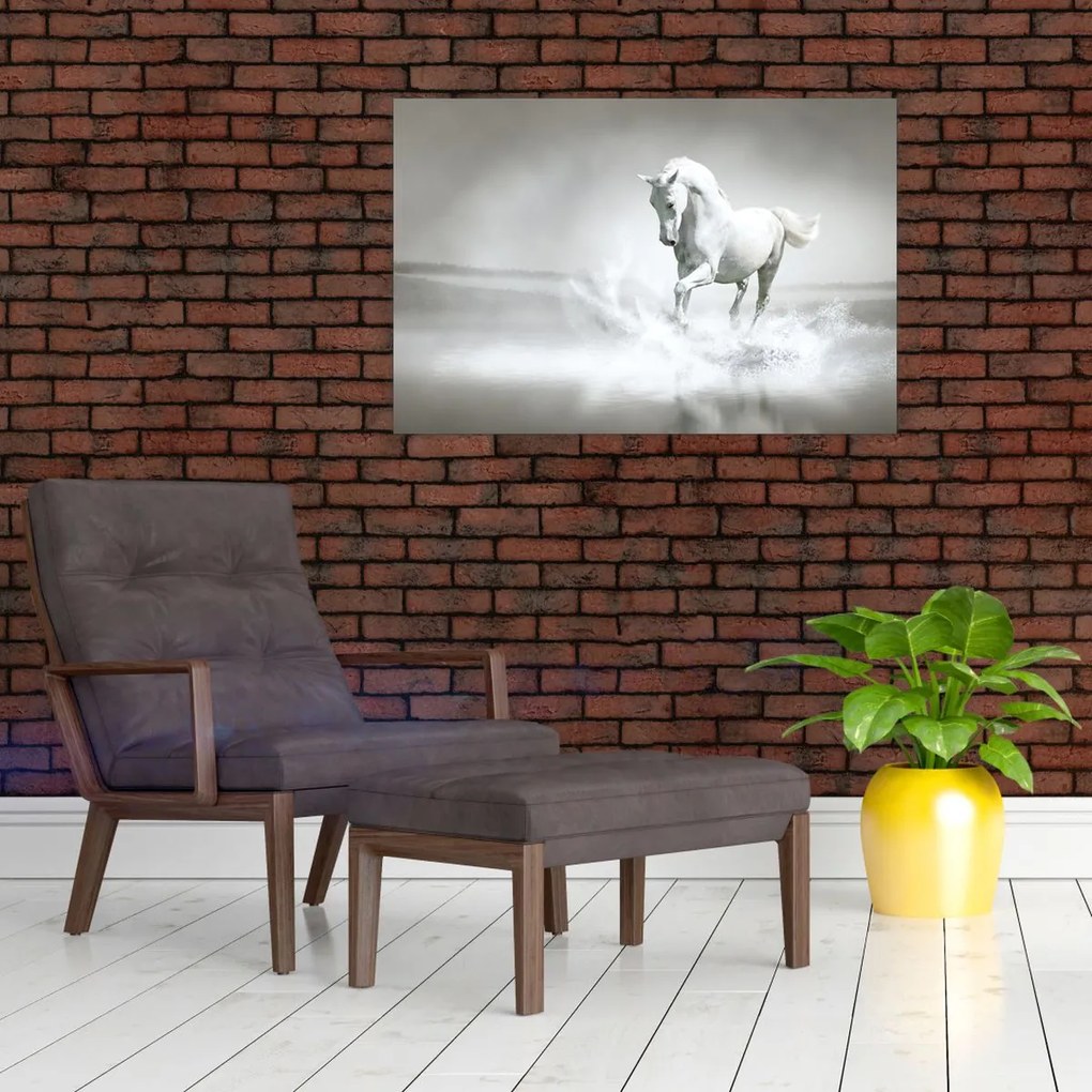 Tablou - Cal alb (90x60 cm)