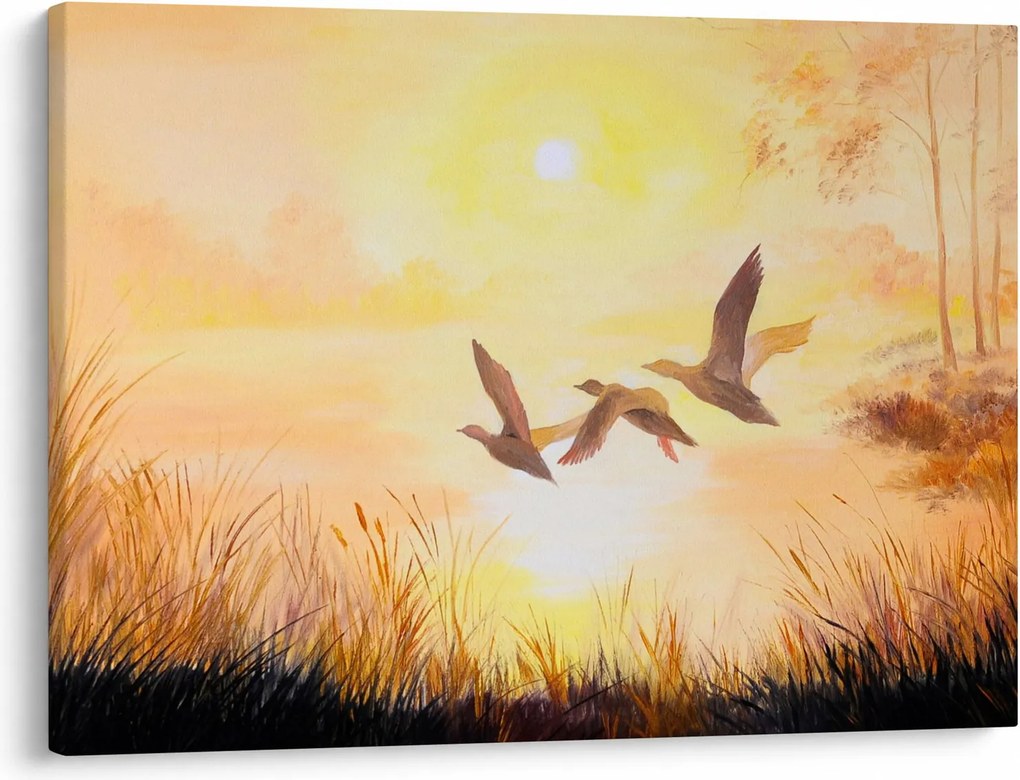 Tablou - Macarale la apus de soare (70x50 cm)