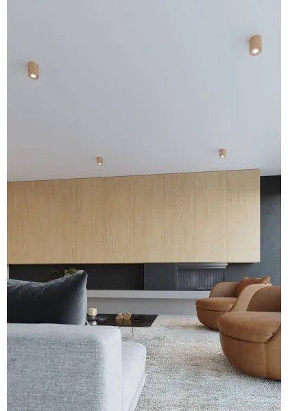 Plafonieră LED FRIDA 1xGU10/7W/230V Brilagi