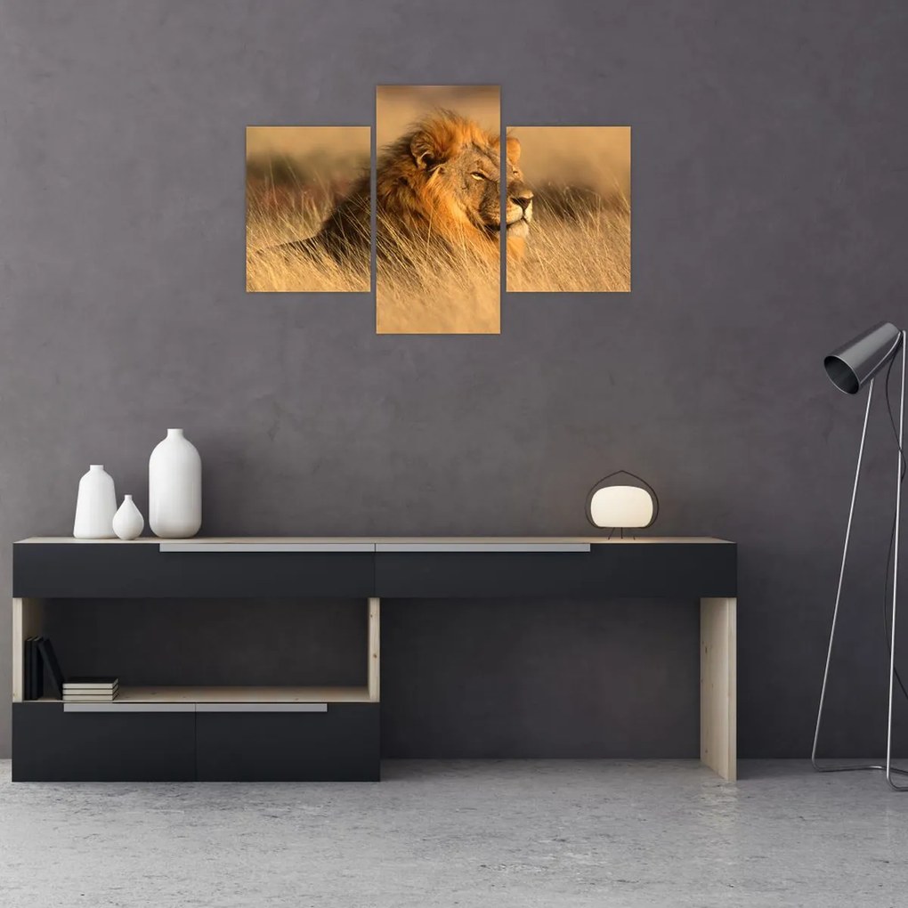 Tablou - Parcul Național Etosha (90x60 cm)