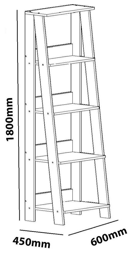 Raft Sinapis (alb). 1102572