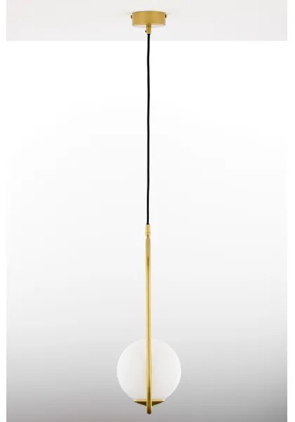 Lustră pe cablu Jupiter 2042 IGON 1xE14/40W/230V auriu